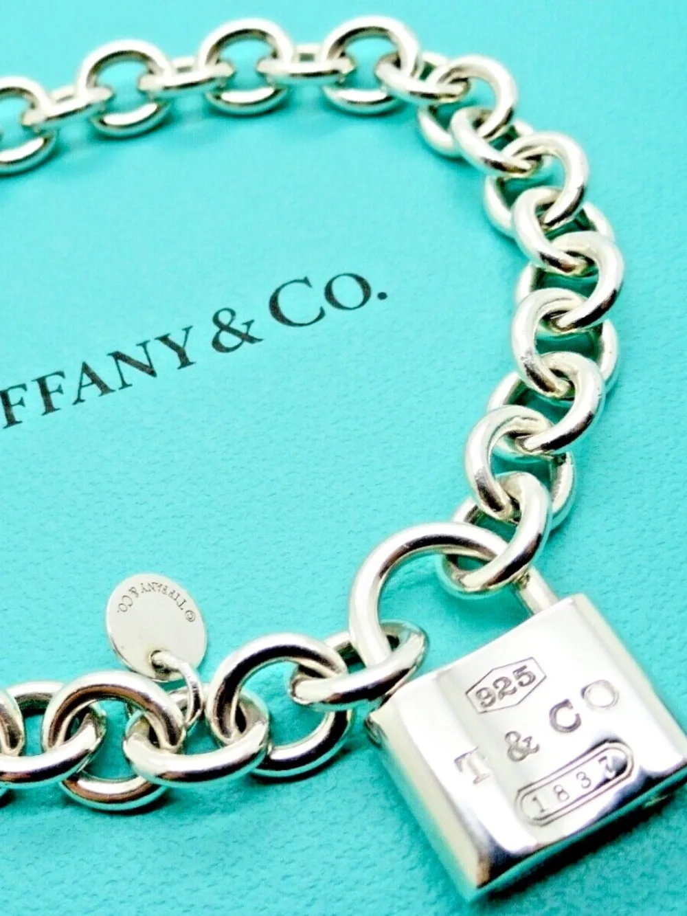 Tiffany & Co. 1837 Love Lock Bracelet